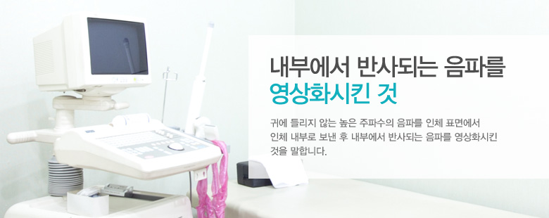 내부에서 반사되는 음파를 영상화시킨 것