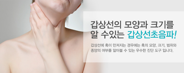갑상선의 모양과 크기를 알 수있는 갑상선초음파!